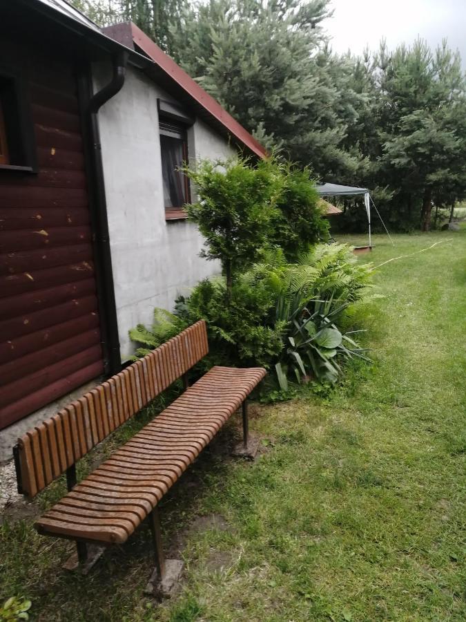 Noclegi Przy Kominku Miedzyles  Dış mekan fotoğraf